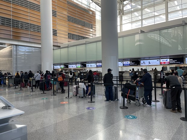 Regresan a tierra natal más de 340 ciudadanos vietnamitas en Japón ảnh 1 Regresan a tierra natal más de 340 ciudadanos vietnamitas en Japón ảnh 1