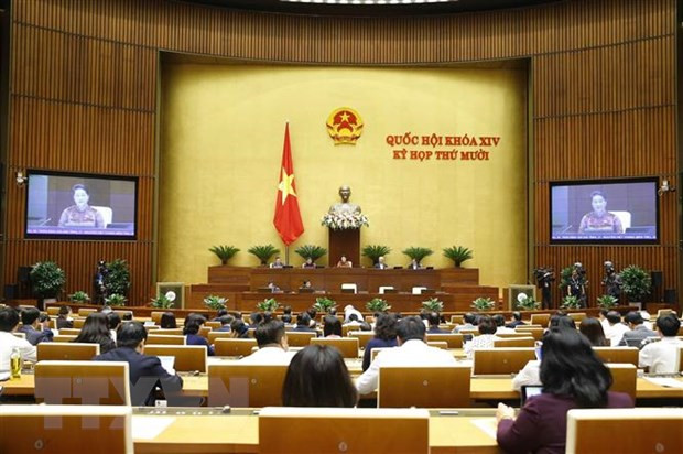 Votantes vietnamitas aprecian respuestas en sesiones de interpelación del Parlamento ảnh 1