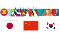 Promueven ASEAN+3 la cooperación interbancaria ảnh 1 Promueven ASEAN+3 la cooperación interbancaria ảnh 1