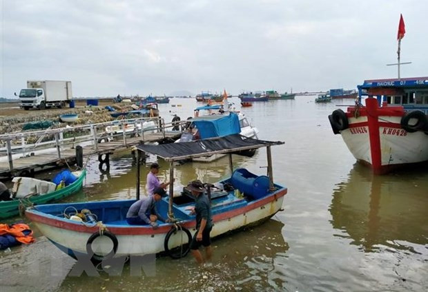 Premier vietnamita pide concentrarse en responder al tifón Vamco ảnh 1