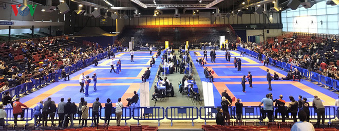 Promueven en Francia arte marcial vietnamita Vovinam ảnh 1 Promueven en Francia arte marcial vietnamita Vovinam ảnh 1