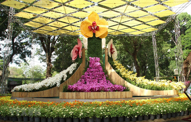 Coloridas orquídeas embellecen la ciudad vietnamita de Nha Trang ảnh 1