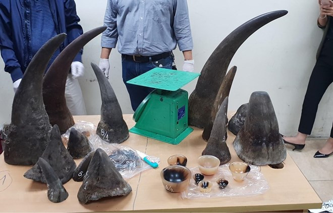 Promueven en Vietnam las investigaciones sobre el tráfico de animales silvestres ảnh 1 Promueven en Vietnam las investigaciones sobre el tráfico de animales silvestres ảnh 1
