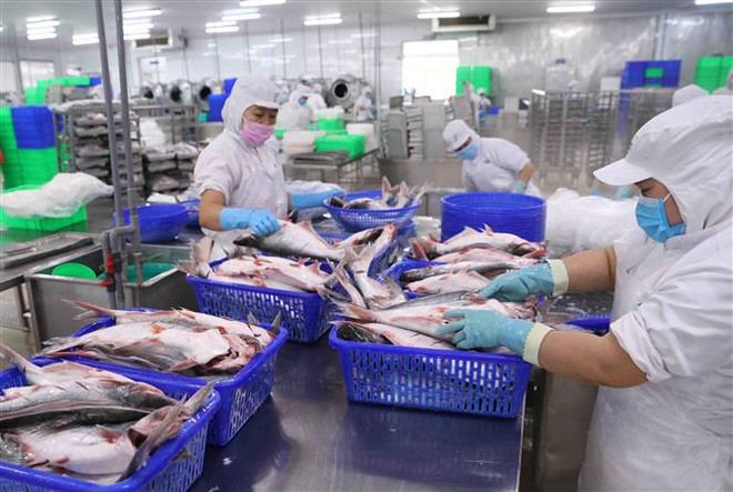 Emiratos Árabes Unidos busca firmar acuerdo de asociación económica integral con Vietnam ảnh 1 Emiratos Árabes Unidos busca firmar acuerdo de asociación económica integral con Vietnam ảnh 1