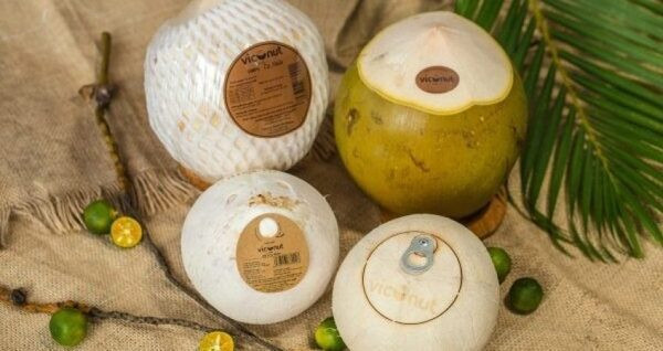 Exportaciones de coco de Vietnam superarán mil millones de dólares en los próximos años ảnh 1 Exportaciones de coco de Vietnam superarán mil millones de dólares en los próximos años ảnh 1
