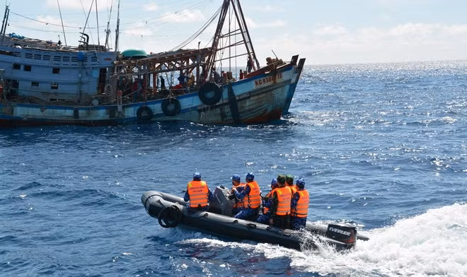 📝 Enfoque: Vietnam implementa drásticas medidas contra pesca ilegal ảnh 4