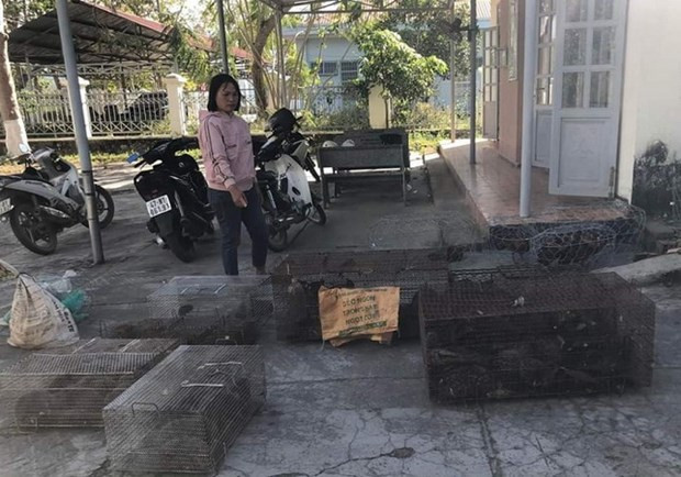 Provincia vietnamita detecta caso de comercio ilegal de animales salvajes ảnh 1 Provincia vietnamita detecta caso de comercio ilegal de animales salvajes ảnh 1