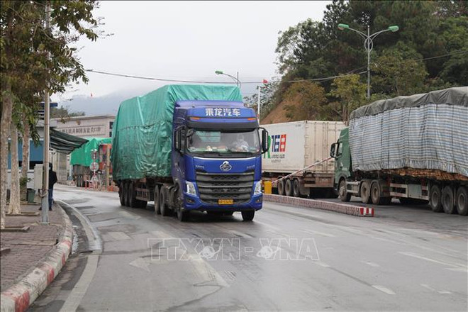 China vuelve a ser mayor importador de productos agrosilvícolas y acuícolas de Vietnam ảnh 1 China vuelve a ser mayor importador de productos agrosilvícolas y acuícolas de Vietnam ảnh 1