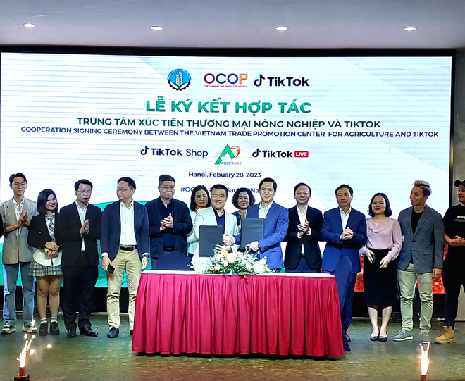 Impulsan transformación digital en comercio de OCOP de Vietnam ảnh 1