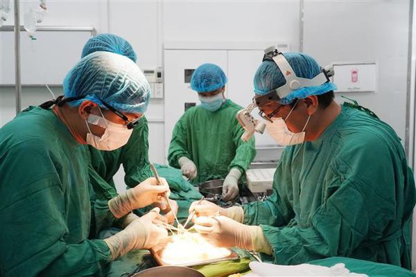 Doctores vietnamitas beneficiaron a muchos pacientes con trasplantes de órganos ảnh 1 Doctores vietnamitas beneficiaron a muchos pacientes con trasplantes de órganos ảnh 1