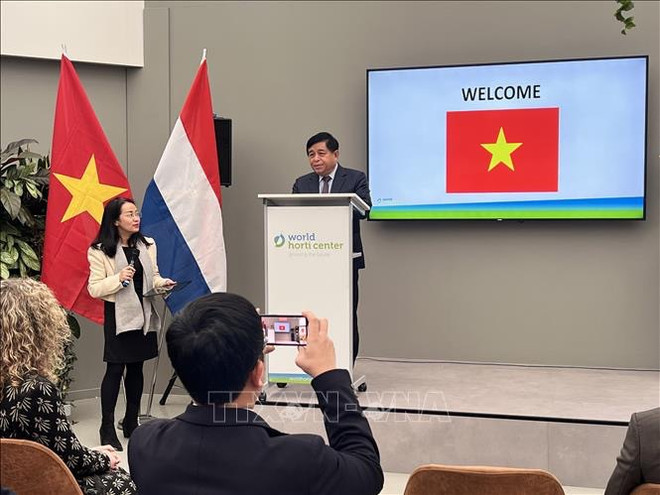 Vietnam y Países Bajos fortalecen cooperación en agricultura inteligente ảnh 1 Vietnam y Países Bajos fortalecen cooperación en agricultura inteligente ảnh 1