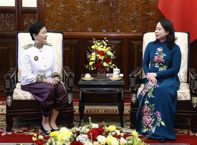 Presidenta interina vietnamita recibe a embajadores de Suiza, Malasia y Camboya ảnh 3 Presidenta interina vietnamita recibe a embajadores de Suiza, Malasia y Camboya ảnh 3