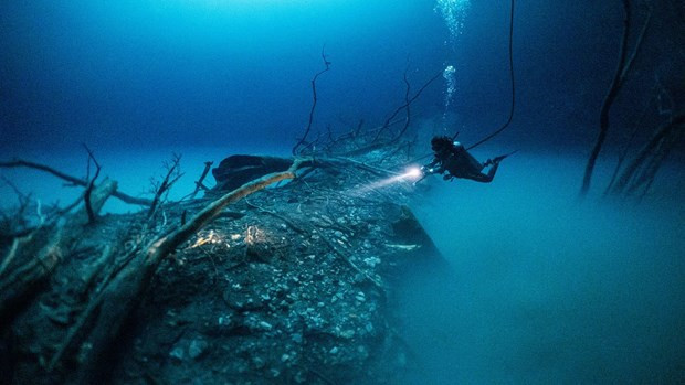 Último cable submarino de Internet entre Vietnam y el mundo se rompe ảnh 1