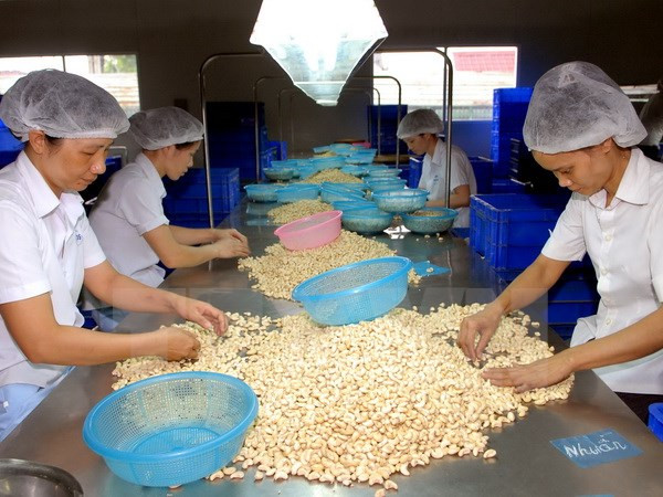 Dong Nai logra mayor ganancia por exportación ảnh 1