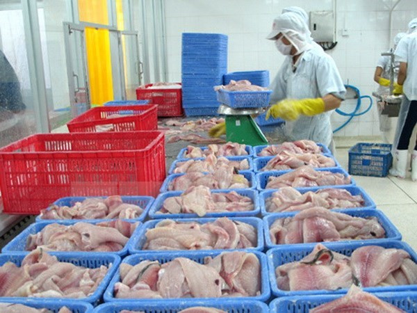 Vietnam pronostica crecimiento en exportaciones de pescado Tra ảnh 1
