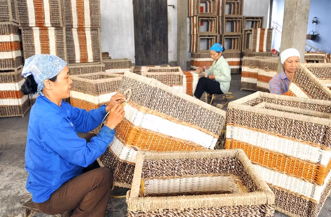 Hanoi invierte en desarrollo de zonas rurales ảnh 1