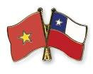 Vietnam y Chile efectúan consulta política ảnh 1 Vietnam y Chile efectúan consulta política ảnh 1