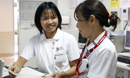 Casi 39 mil vietnamitas cursan estudios en Japón ảnh 1 Casi 39 mil vietnamitas cursan estudios en Japón ảnh 1