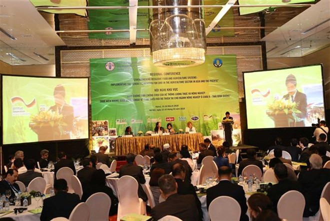 FAO coopera con Asia-Pacífico para mitigar impacto en la agricultura del cambio climático ảnh 1 FAO coopera con Asia-Pacífico para mitigar impacto en la agricultura del cambio climático ảnh 1