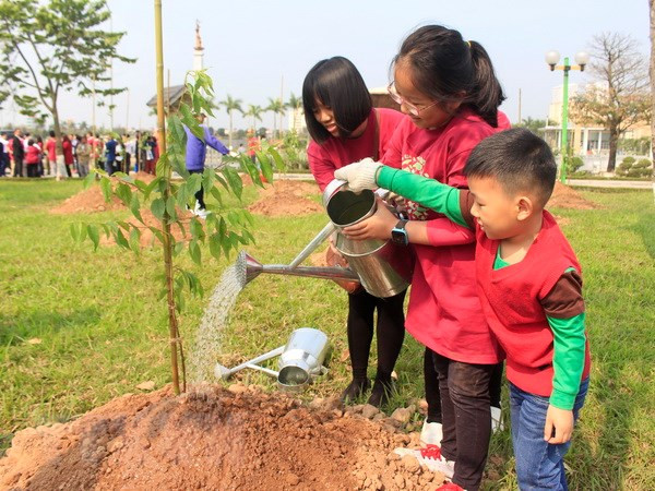 Japón respalda a Hanoi en proyecto de plantación de árboles ảnh 1 Japón respalda a Hanoi en proyecto de plantación de árboles ảnh 1