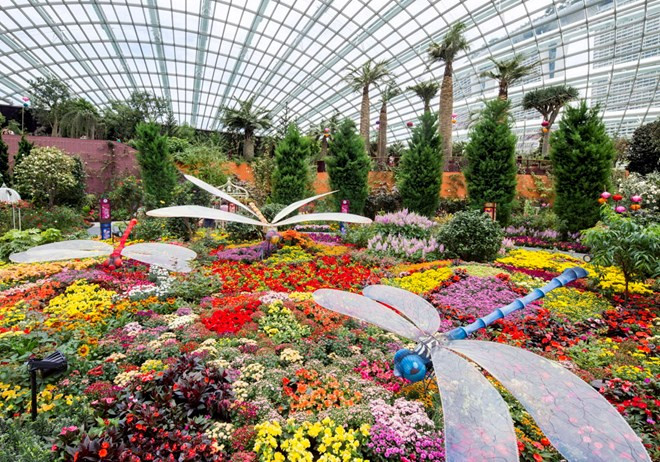 Singapur exhibe macetero floral más grande del orbe ảnh 1 Singapur exhibe macetero floral más grande del orbe ảnh 1