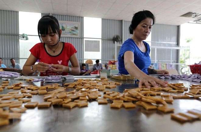 Cooperación entre PyMEs podrá sustentar relaciones Vietnam-Rusia, afirma embajador ảnh 1