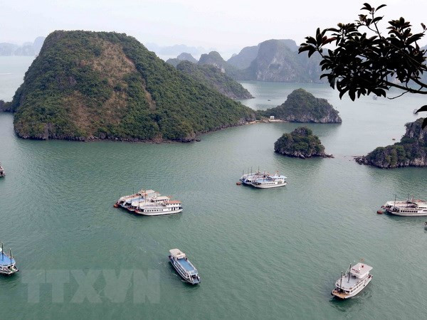 Vietnam promueve desarrollo sostenible del turismo en sus patrimonios mundiales ảnh 1 Vietnam promueve desarrollo sostenible del turismo en sus patrimonios mundiales ảnh 1