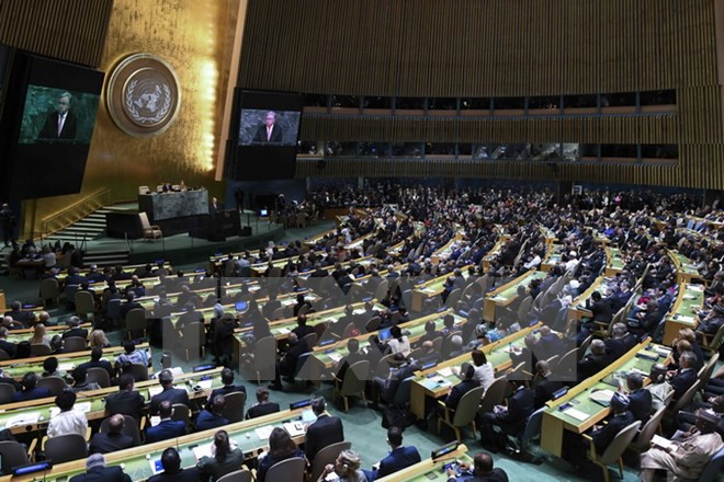 Vietnam presenta ante ONU recomendaciones para mitigación de secuelas de desastres naturales ảnh 1