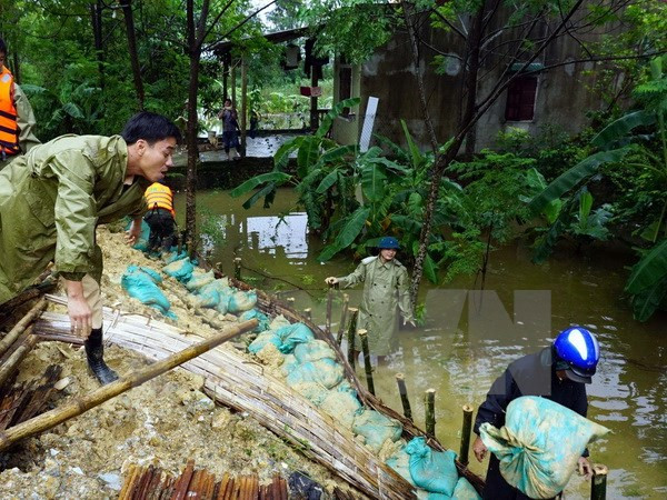 Continúan en Vietnam actividades de apoyo a víctimas de inundaciones ảnh 1 Continúan en Vietnam actividades de apoyo a víctimas de inundaciones ảnh 1