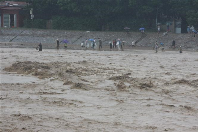Oficina del presidente de Vietnam realiza actividades de apoyo a víctimas de inundaciones ảnh 1 Oficina del presidente de Vietnam realiza actividades de apoyo a víctimas de inundaciones ảnh 1