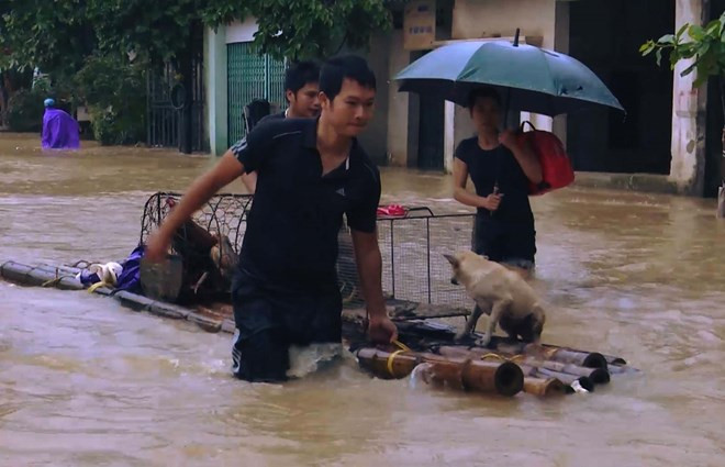 Siete muertes y cuatro desaparecidas en inundaciones registradas en Thanh Hoa ảnh 1 Siete muertes y cuatro desaparecidas en inundaciones registradas en Thanh Hoa ảnh 1
