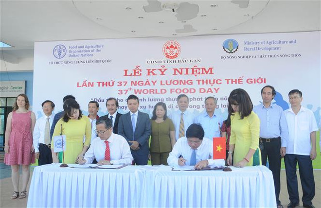 Vietnam celebra Día Mundial de la Alimentación ảnh 1 Vietnam celebra Día Mundial de la Alimentación ảnh 1