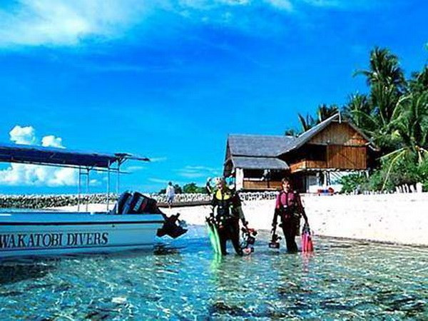 Indonesia llama a mayor inversión extranjera en turismo ảnh 1