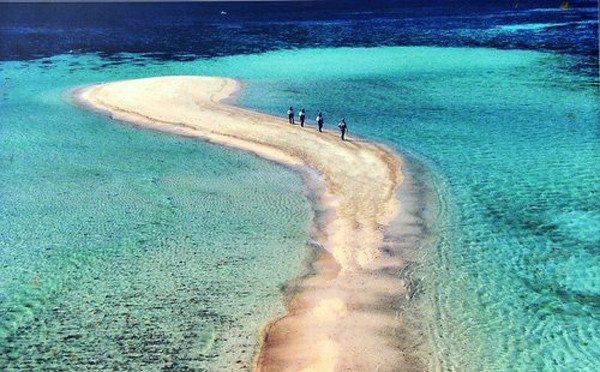 Realizan en Hanoi exposición en honor a soldados de Truong Sa ảnh 1 Realizan en Hanoi exposición en honor a soldados de Truong Sa ảnh 1