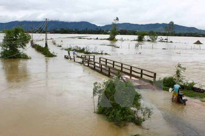 Inundaciones causan graves pérdidas humanas y materiales en Vietnam ảnh 1 Inundaciones causan graves pérdidas humanas y materiales en Vietnam ảnh 1