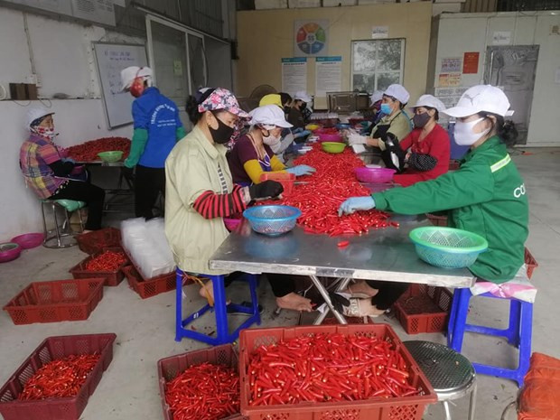 Empresas vietnamitas deben transformar modelo de negocios para adaptarse al periodo de pandemia ảnh 1 Empresas vietnamitas deben transformar modelo de negocios para adaptarse al periodo de pandemia ảnh 1