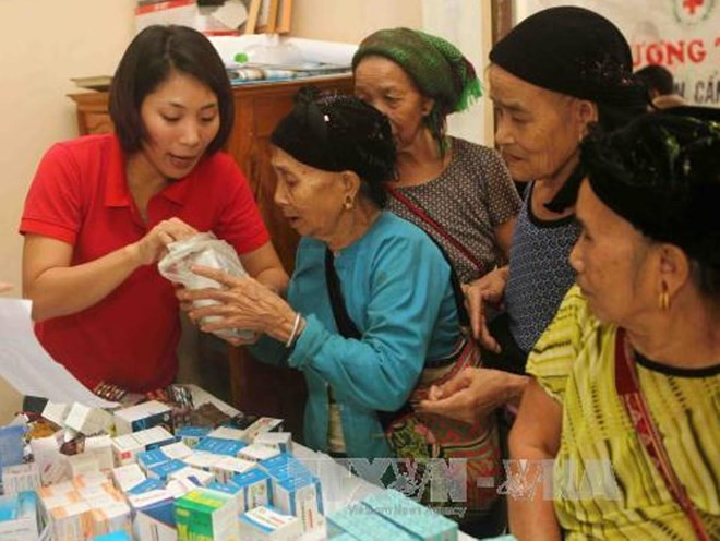 Asistencia holandesa al empoderamiento de mujeres en Vietnam ảnh 1 Asistencia holandesa al empoderamiento de mujeres en Vietnam ảnh 1