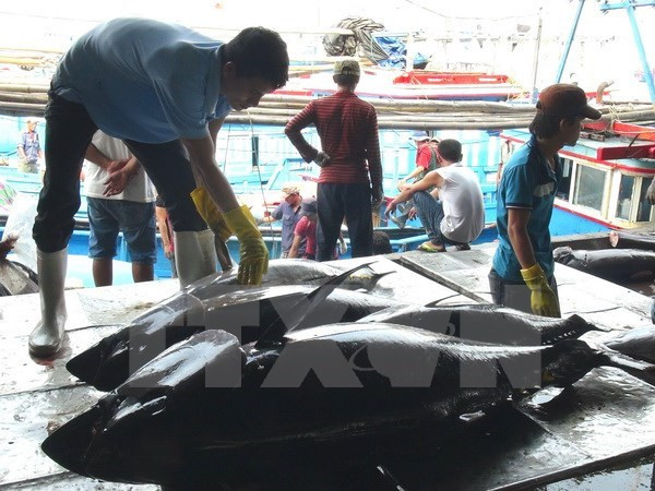 Sector acuícola de Vietnam prevé siete mil millones de dólares por exportaciones ảnh 1 Sector acuícola de Vietnam prevé siete mil millones de dólares por exportaciones ảnh 1