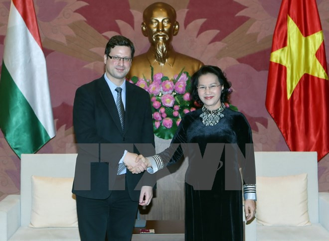 Vietnam sugiere mayor intercambio de delegaciones parlamentarias con Hungría ảnh 1 Vietnam sugiere mayor intercambio de delegaciones parlamentarias con Hungría ảnh 1