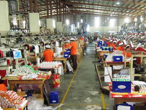 Sector vietnamita de plástico prevé alza de exportación en 2017 ảnh 1