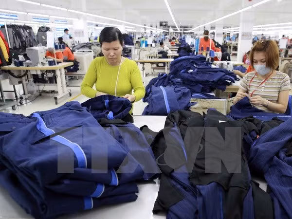 Vietnam y Japón procuran elevar comercio bilateral a 60 MM de USD ảnh 1