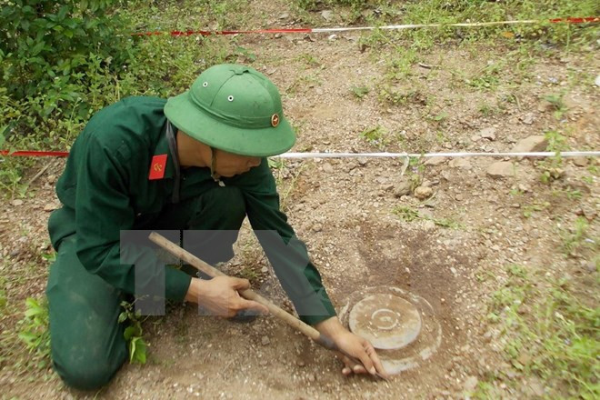 Desactivan bomba hallada en una construcción en provincia centrovietnamita ảnh 1