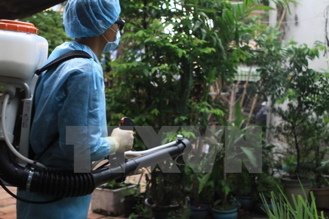 Provincia survietnamita anuncia epidemia de Zika ảnh 1