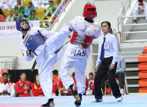Taekwondistas vietnamitas ganan medallas de oro en Campeonato de Francia ảnh 1