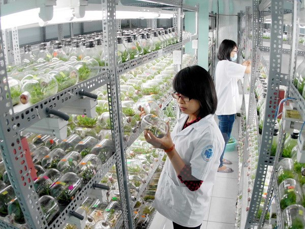 Ciudades vietnamita y estadounidense forjan nexos bilaterales ảnh 1 Ciudades vietnamita y estadounidense forjan nexos bilaterales ảnh 1