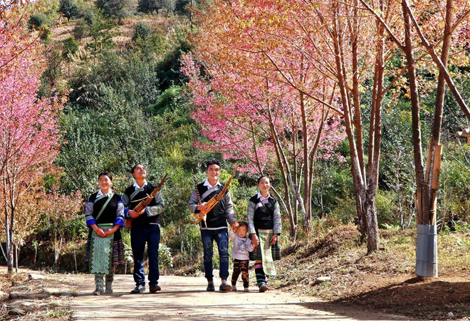 [Foto] Belleza de Mu Cang Chai en la primavera ảnh 4