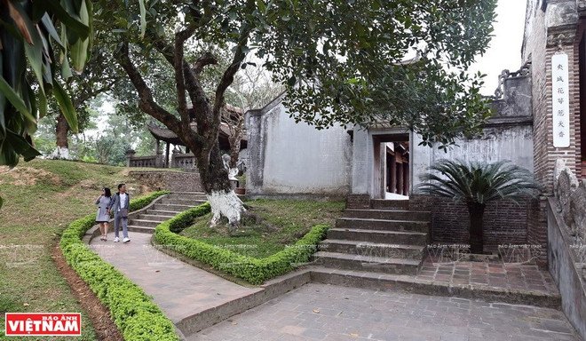 [Foto] Antigua ciudadela de Co Loa ảnh 4