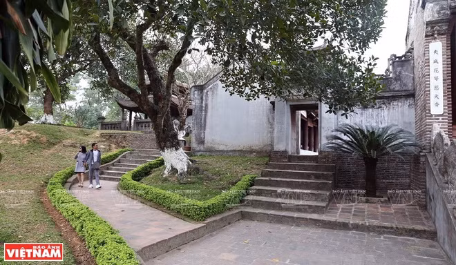 [Foto] Antigua ciudadela de Co Loa ảnh 4