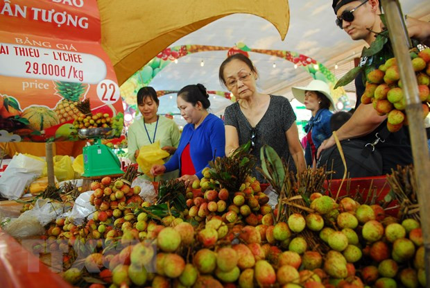 Anuncian Festival de Frutas del Sur de Vietnam durante junio y agosto de 2019 ảnh 1 Anuncian Festival de Frutas del Sur de Vietnam durante junio y agosto de 2019 ảnh 1