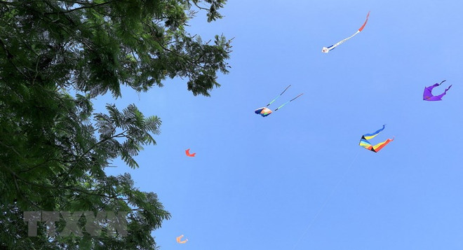 Celebrarán Festival de Cometas de Hue 2019 ảnh 1 Celebrarán Festival de Cometas de Hue 2019 ảnh 1